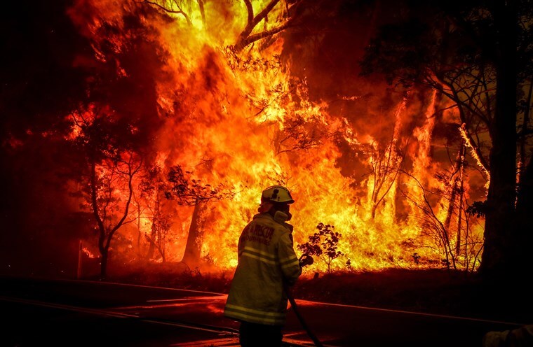 fireman standing before forest fire