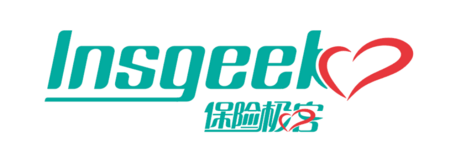 Insgeek logo