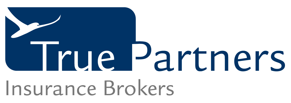 True Partners AG