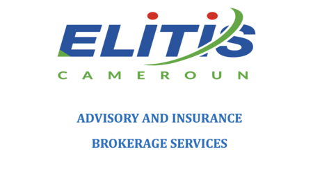 Elitis Cameroon logo